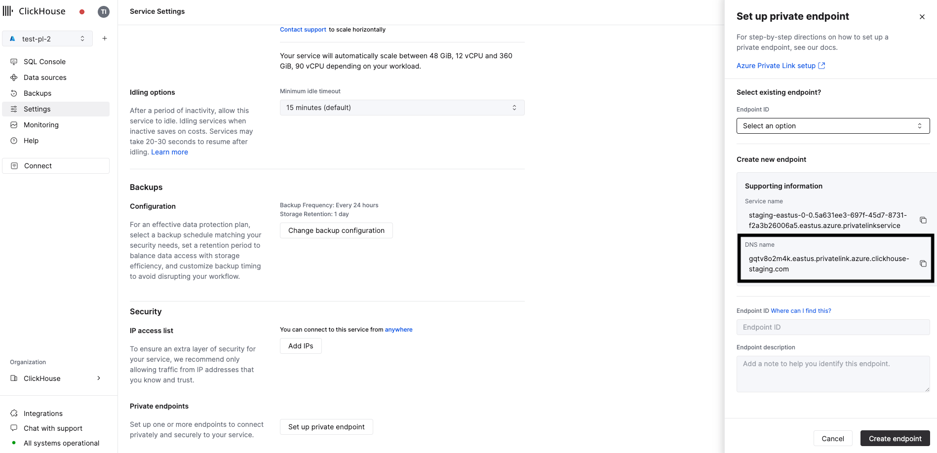 Private Endpoint DNS Name - Zoomed